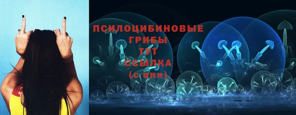 тгк Бронницы