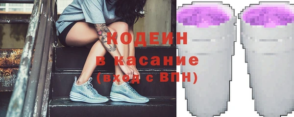 ешки Бородино
