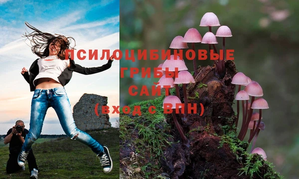 трава Верхний Тагил